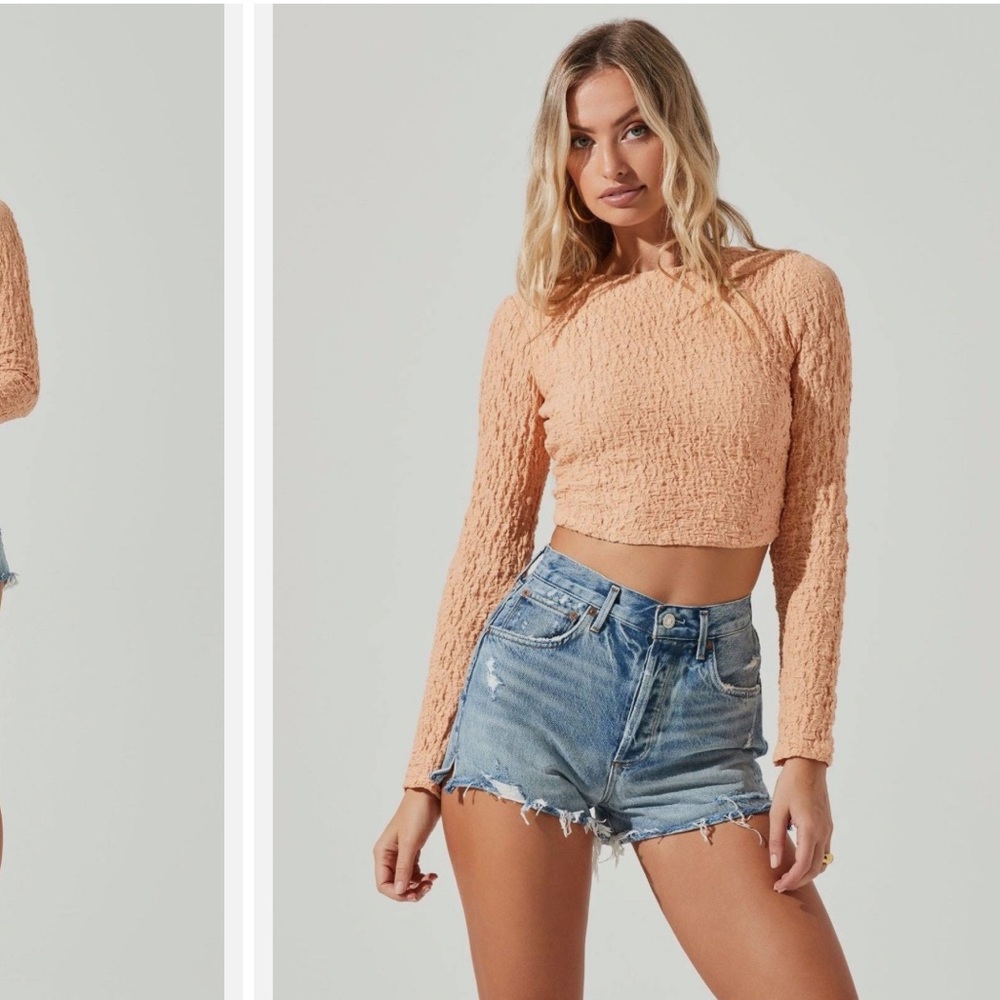Baxter Crinkle Cutout Long Sleeve Crop Top Peach